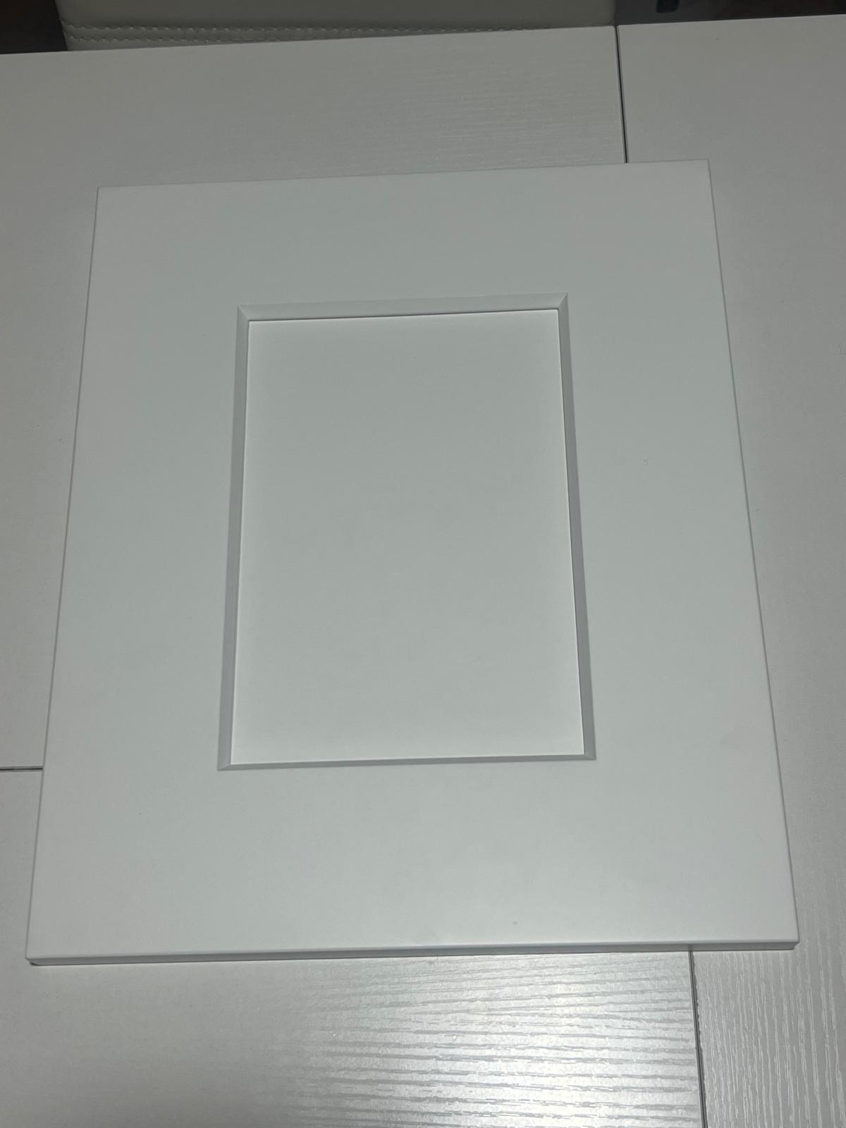 Shaker White kitchen cabinet style — clean shaker door in bright white